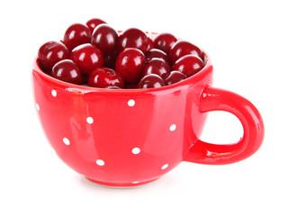 Sweet cherry in cup isolated on white