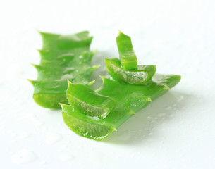 Aloe leaves with drops, isolated on white
