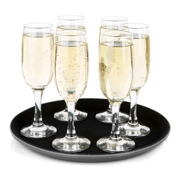 Many glasses of champagne on the tray, isolated on white