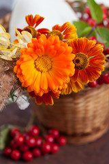 Autumn flowers and berries in basket.