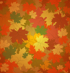 Fototapeta premium Maple Ornament