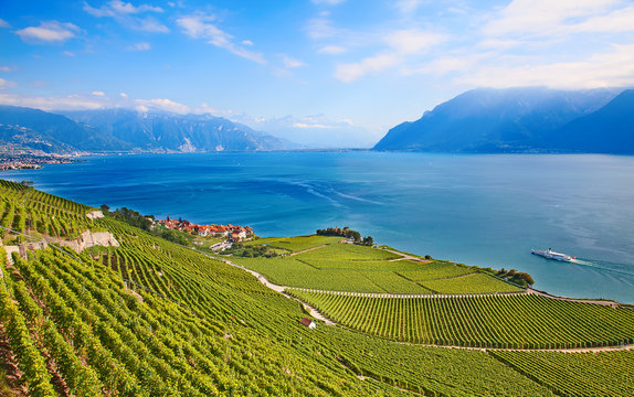 Lavaux Region