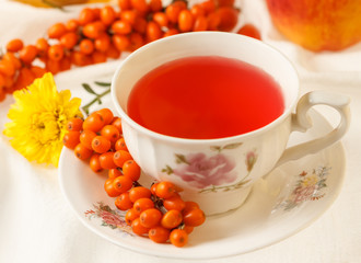 Sea buckthorn tea and autumn flowers