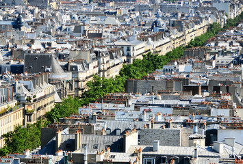 immobilier parisien