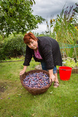 Woman with basket of plums