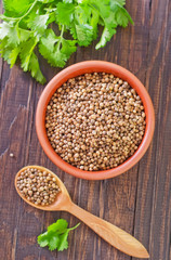 coriander