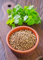 coriander