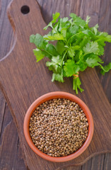 coriander