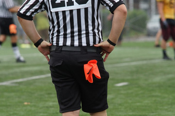 Football referee