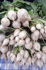 Japanese turnips