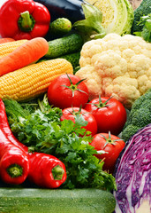Composition with variety of fresh raw organic vegetables