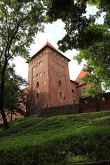 Fototapeta na wymiar Poland old castle Nidzica