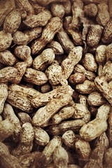 Peanut