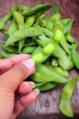 Green fresh soybeans