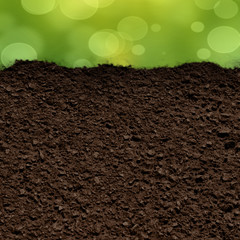 grass and soil