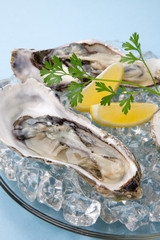Fresh Oysters on Ice