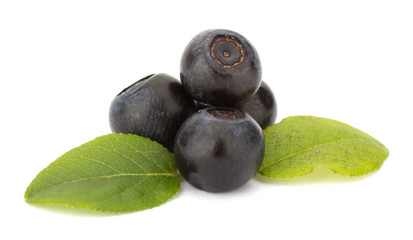 Fresh blueberries isolated on white background