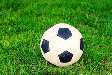 Fototapeta premium Soccer football field stadium grass background texture