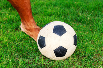 Soccer football field stadium grass  background texture