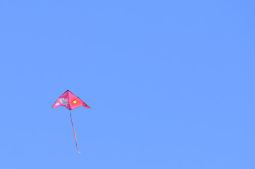 the kite