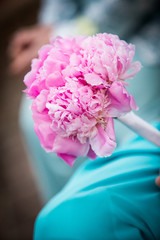 Beautiful Pink Bouquet Held by Bridesmaid