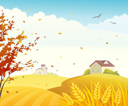 Autumn farm