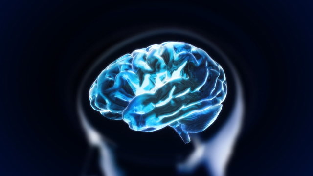 blue brain in head section glow