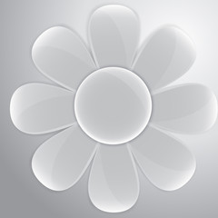 Vector white glass daisy for buttons and interface