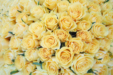 Large bright bouquet of freshly cut big beautiful yellow roses.