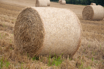 Bales of hay in a field in Switzerland