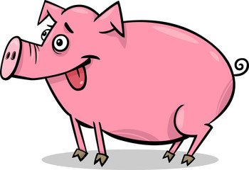 pig farm animal cartoon illustration