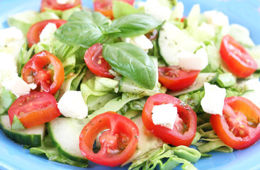frischer Salat
