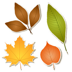 Autumn leaf sticker set