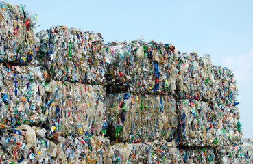 recycling0209a