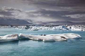 Fototapeta premium Iceland Landscape.