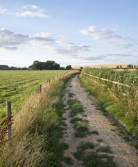 Fototapeta na wymiar Countryside landscape of track leading through fields on Summer