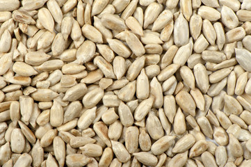 Sunflower seeds