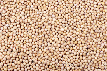 Mustard seeds