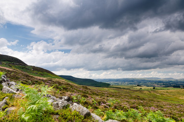 Simonside Hills