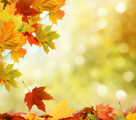 autumn background