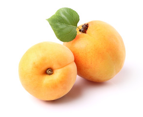 Apricot with leaf
