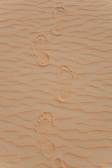 footprints in the desert