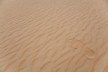footprints in the desert