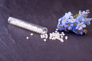 myosotis globule homeopathy health care