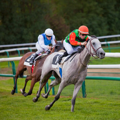 Course > Chevaux > Trot