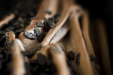 Cocoa and chocolate ice cream detailed surface
