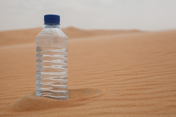bottle in the desert