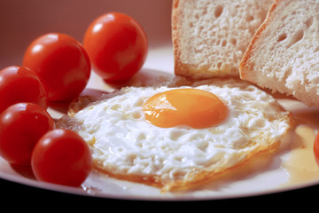 Fried egg with bread and tomatoes