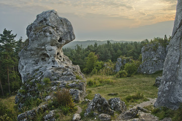 Jurajskim szlakiem - Góra Zborów © ChemiQ