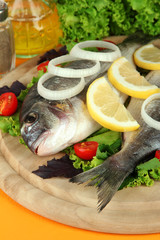 Dorado fish on table close-up